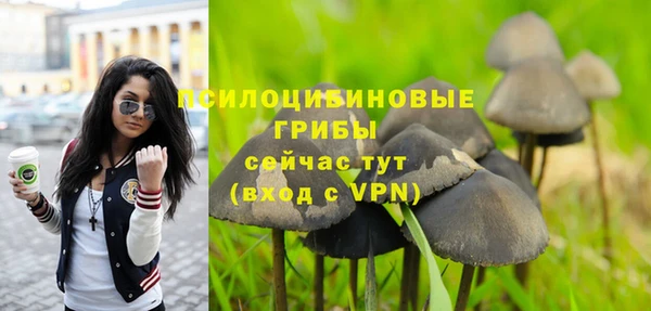 гашик Верхний Тагил