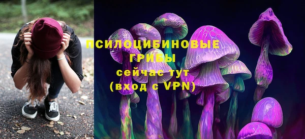 дмт Верея