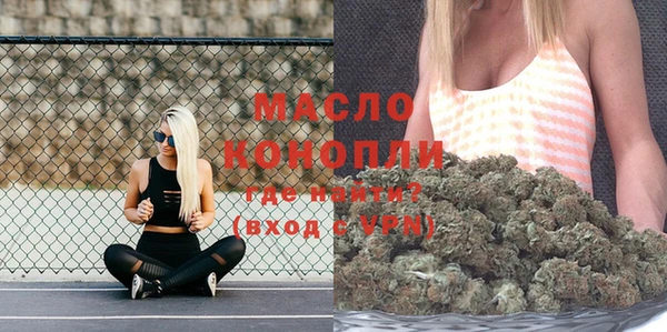 молекула духа Волоколамск