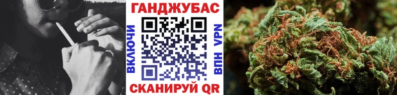 купить наркоту  Гатчина  Бошки марихуана гибрид 